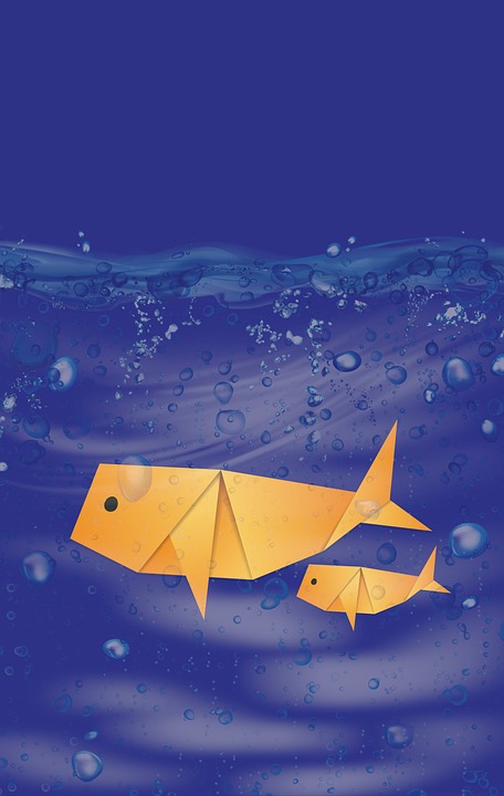 Whale Accumulation: Native Token of Curve Finance (CRV) Skyrockets by 13.4%