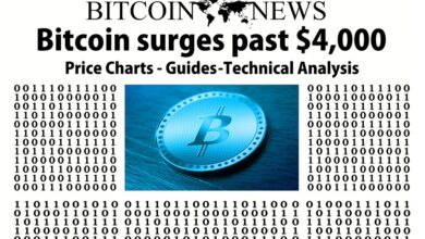 Bitcoin Price Prediction: Market Cap Plummets, Gensler Expresses Concerns, and Luno Restricts UK Investments