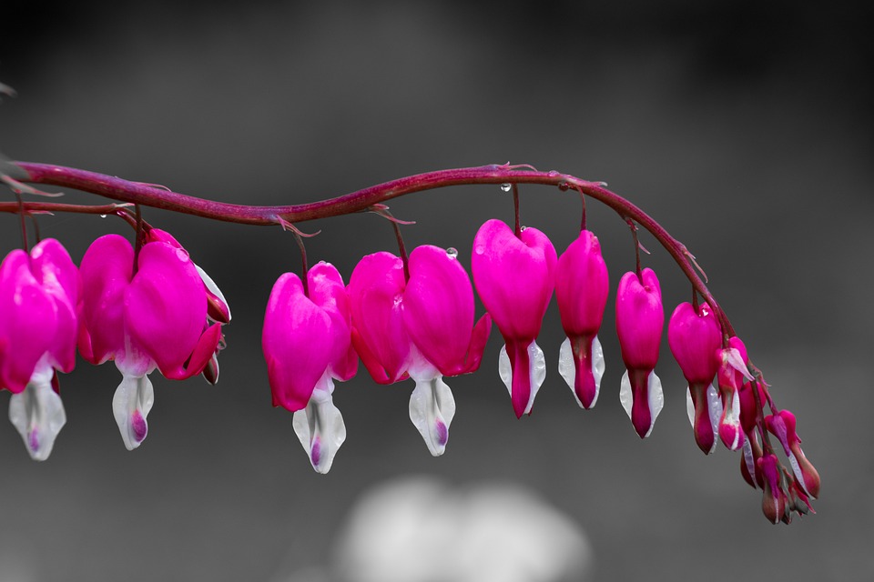 ASICRUN stellt erste Serie von Plug-and-Play-Mining-Hardware vor, mit höchster hash power und maximaler Profitabilität. Von Experten empfohlen.