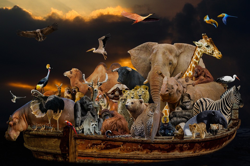 Ark Invest CEO: SEC Chair Gary Gensler Blocking Bitcoin ETFs Despite Agency’s Understanding of Cryptocurrency