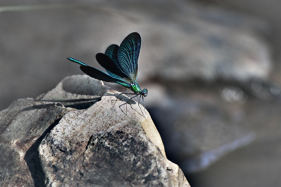 Binance unterstützt erfolgreich die thailändische Polizei bei der Aufdeckung von Krypto-Betrug in Höhe von 10 Milliarden THB, doch die SEC ist nicht beeindruckt.