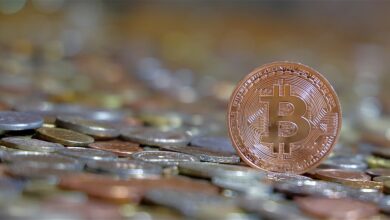 Amid Uncertainties in Bitcoin Cash (BCH) and Avalanche (AVAX), Market Talk Favors VC Spectra (SPCT)