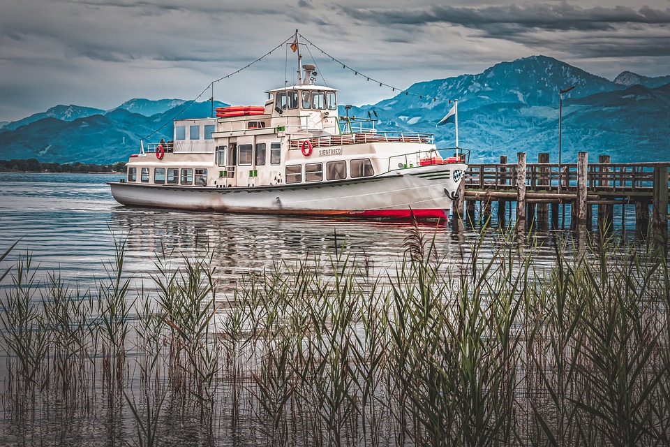 Bitcoin-Dominanz steigt auf fast 50% an, da Anleger angesichts des Bankman-Fried-Prozesses und des geopolitischen Risikos zur Sicherheit flüchten.