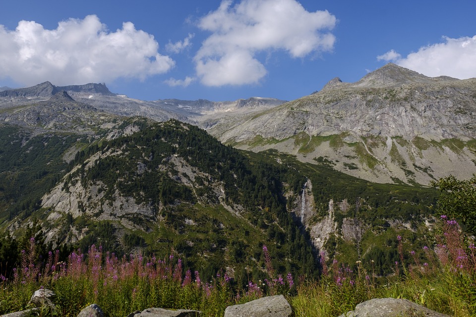 ByBit launcht den Handel mit Wall Street Memes ($WSM): Kurs steigt um 19% und 10x oder 100x Rendite möglich. ByBit baldiger Spotmarkt-Listung. $WSM wird drittmeistgehandelte Meme-Coin.