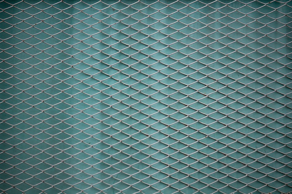 Chainlink und Hedera erleben starkes Wachstum, während Tradecurve Markets eine Demo-Plattform startet – Kursprognosen und Details im Überblick.