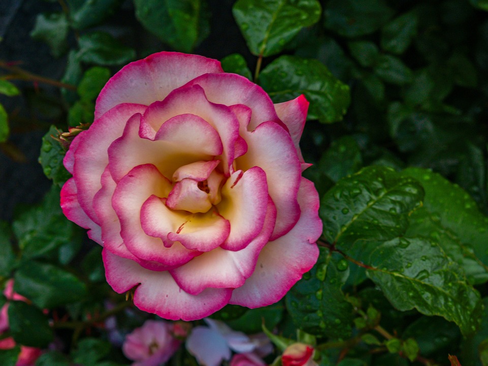 Coinbase verzeichnet signifikanten Rückgang des Handelsvolumens aufgrund der anhaltenden Krypto-Bärenphase