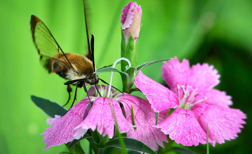 FTX-Gründer Sam Bankman-Fried betrog Kunden und investierte ihre Gelder ohne Erlaubnis in seinen persönlichen Hedgefonds, wie sein ehemaliger Geschäftspartner vor Gericht aussagte.