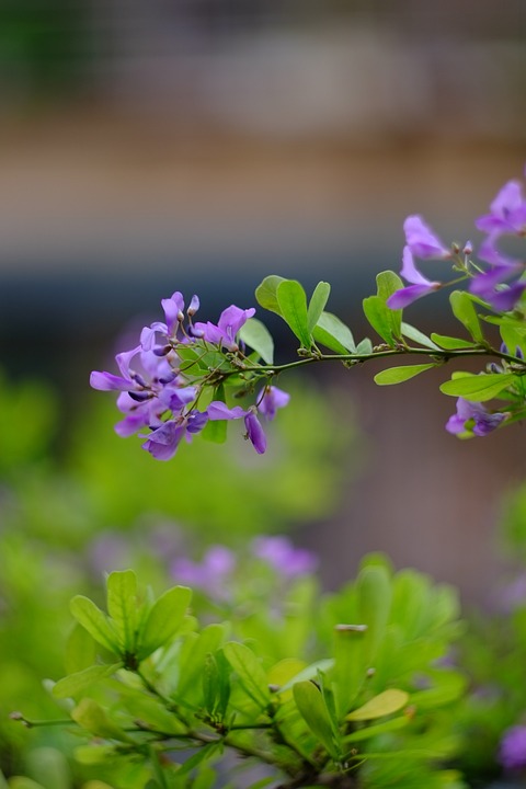 FTX-Gründer Sam Bankman-Fried vor Gericht: Größter Kryptokollaps der Geschichte enthüllt schmutzige Details