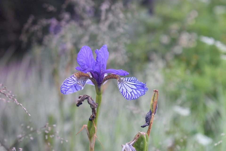HKEX enthüllt „Synapse“, eine Plattform zur Beschleunigung der Abwicklung von Aktiengeschäften, die auf smarten Verträgen basiert und die Effizienz verbessern soll. Integration mit Stock Connect geplant.