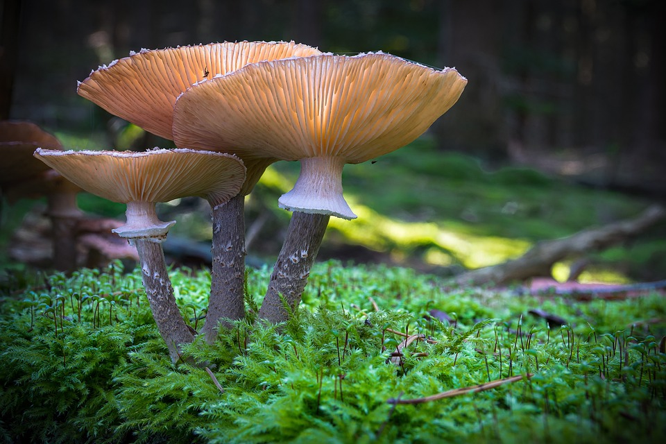 Insider-Hacker in Kryptowährungsprojekt entdeckt: Chinesischer Ex-Vorstand enthüllt Hintergründe zum Fall.