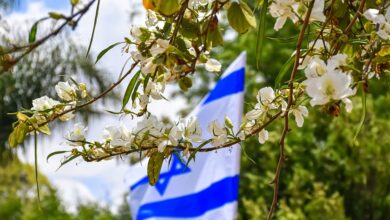 Israel crypto firms launch emergency crypto fund