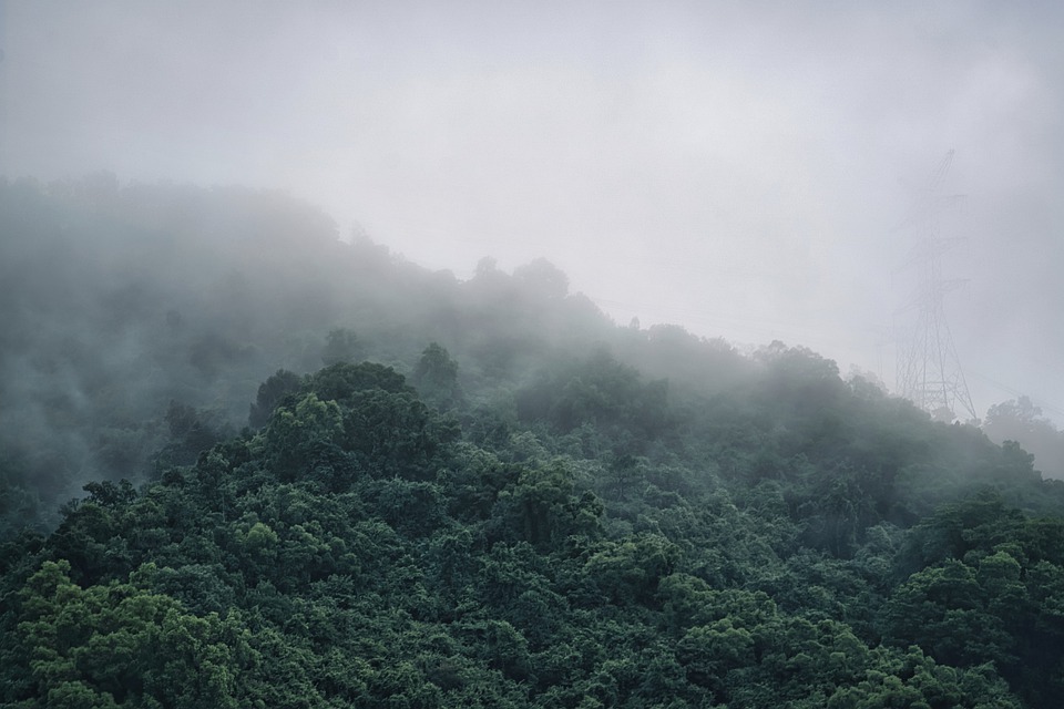 NuggetRush ($NUGX) – Das nächste große Ding in der Welt der Meme Coins und Dezentralen Finanzen (DeFi)