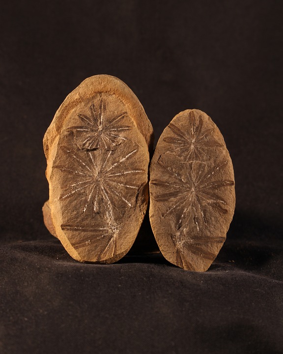 Pennsylvanian Gesetzgeber gibt Kryptomining-Verbot auf, um Gesetzesentwurf für Energiesparen voranzubringen.