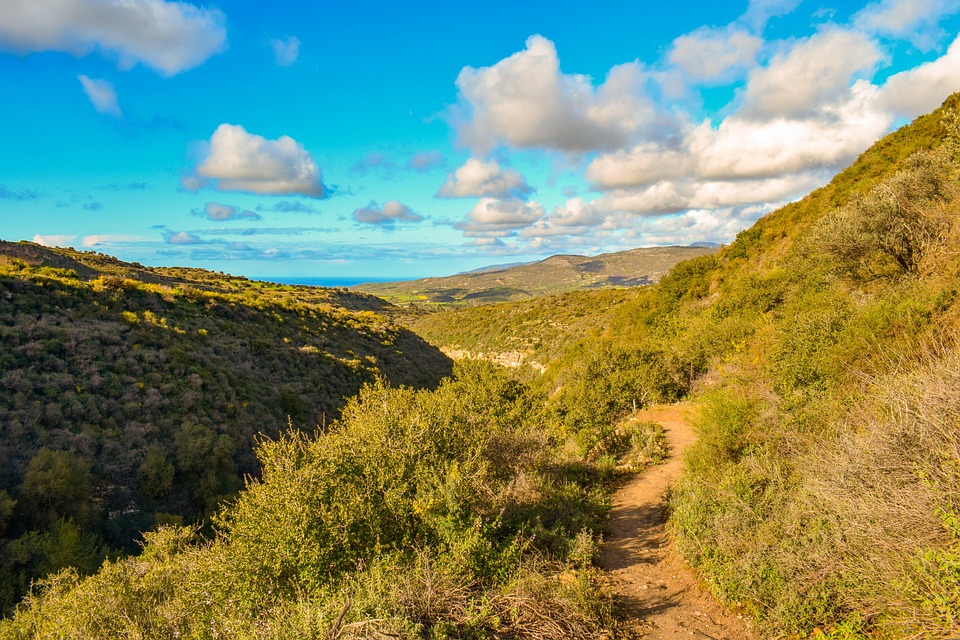 Sinkender Terra Luna Classic Preis lässt Kryptowährung auf den 100. Platz im Ranking fallen – Ist es vorbei?