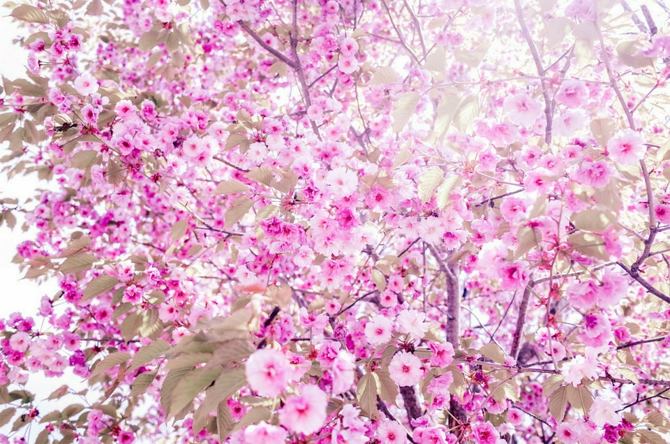 Starker Anstieg: Acht Prozent der Einzelhandelsinvestoren in Hongkong investieren in Kryptoassets – ein Anstieg von sieben Prozent seit 2019