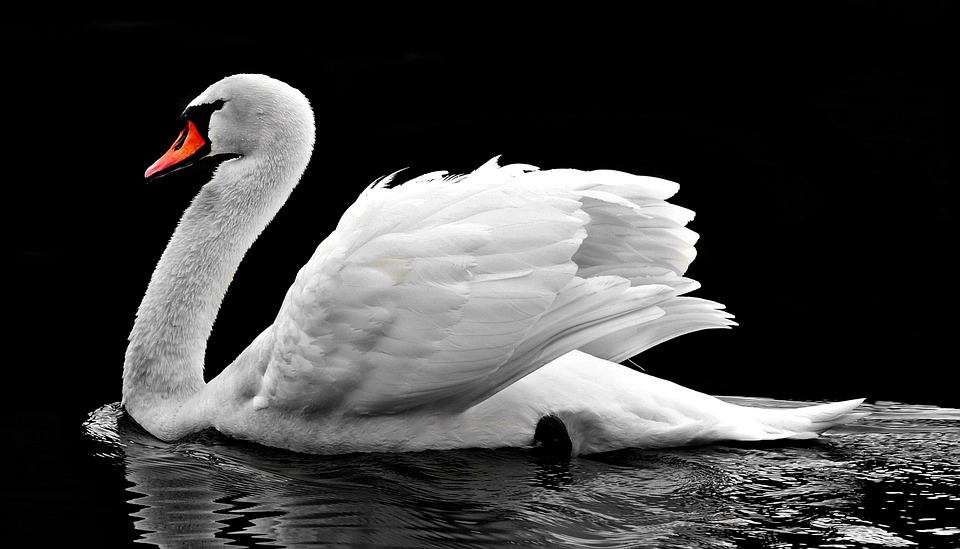 Swan und Blockstream ermöglichen sichere und benutzerfreundliche Bitcoin-Aufbewahrung durch kooperative Verwahrung mit Backup-Unterstützung. (189 Zeichen)