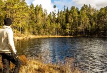 Bank Scammers Drain Million-Dollar Life Savings From Elderly Man Despite Red Flags: Report