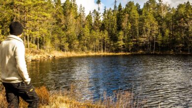 Bank Scammers Drain Million-Dollar Life Savings From Elderly Man Despite Red Flags: Report