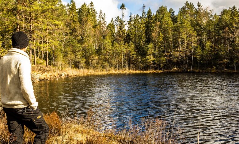 Bank Scammers Drain Million-Dollar Life Savings From Elderly Man Despite Red Flags: Report