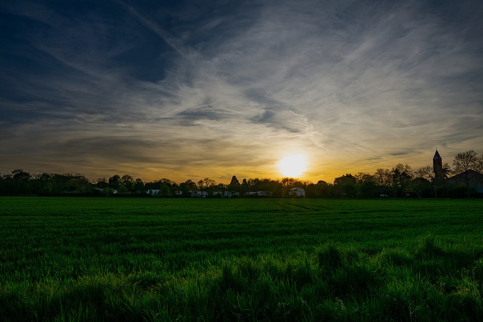 BitMEX führt drastische Gebührenreduktion um 50% ein und belohnt Trader nach Marktcrash mit attraktiven Rebates für mehr Profitabilität.