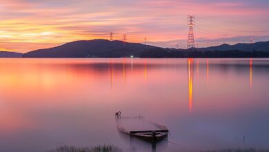 Early Bitcoin Whale Sends $290,000,000 in BTC to Kraken As Crypto Market Teeters on Edge: Lookonchain