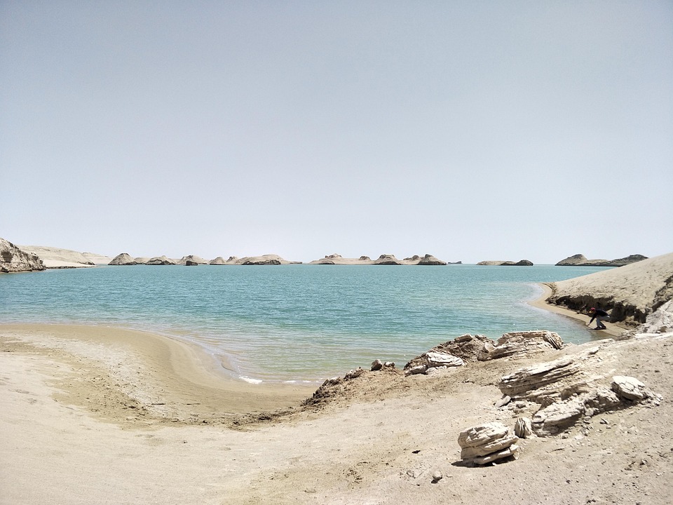 Pantera-Capital-CEO Dan Morehead: Bitcoin-Rally geht bis 2026 weiter, angetrieben von neuen regulatorischen Veränderungen und institutionellen Investitionen.