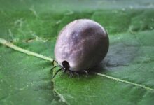 Billionaire Dan Morehead Says Federal Reserve Making Major Mistake As US Dollar Plummets