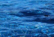 Ripple Seals Hidden Road Acquisition in Push To Bring Prime Brokerage Into Digital Era