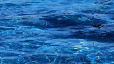 Ripple Seals Hidden Road Acquisition in Push To Bring Prime Brokerage Into Digital Era