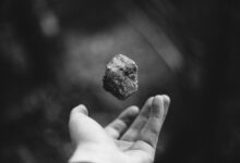Superform’s Web App Upgrade Brings One-Click Control to Earning DeFi Yield