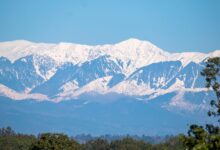 21Shares Triggers 20-Day Clock for Spot XRP ETF Approval