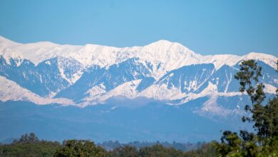 21Shares Triggers 20-Day Clock for Spot XRP ETF Approval