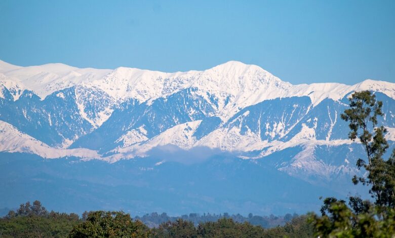 21Shares Triggers 20-Day Clock for Spot XRP ETF Approval