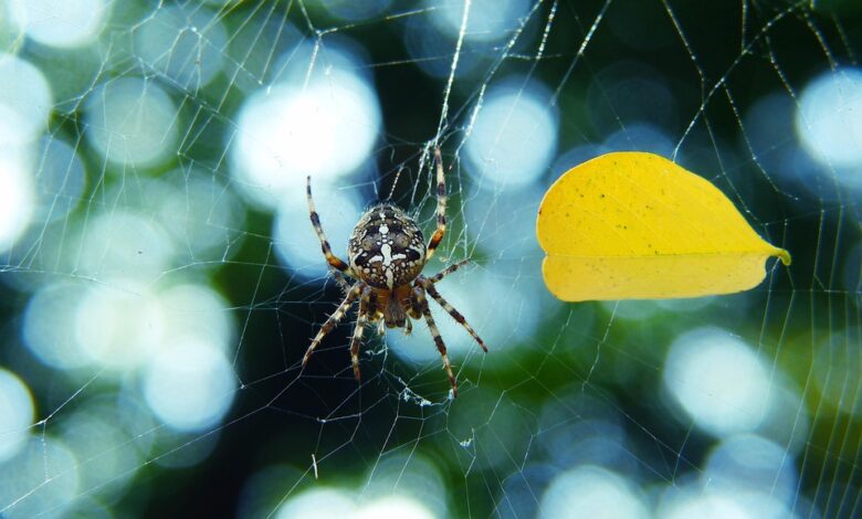 Crypto Analytics Firm Says Bitcoin Price Flashing ‘Early Signs of Bullish Reversal’ As Selling Pressure Wanes