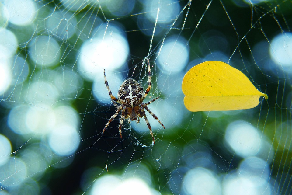 Anzeichen für bullische Wende: Bitcoin senkt Verkaufsdruck und könnte bald wichtige Widerstände durchbrechen.