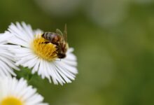 Aster Launches Stage 4 Airdrop and $10M Trading Competition to Accelerate Ecosystem Growth