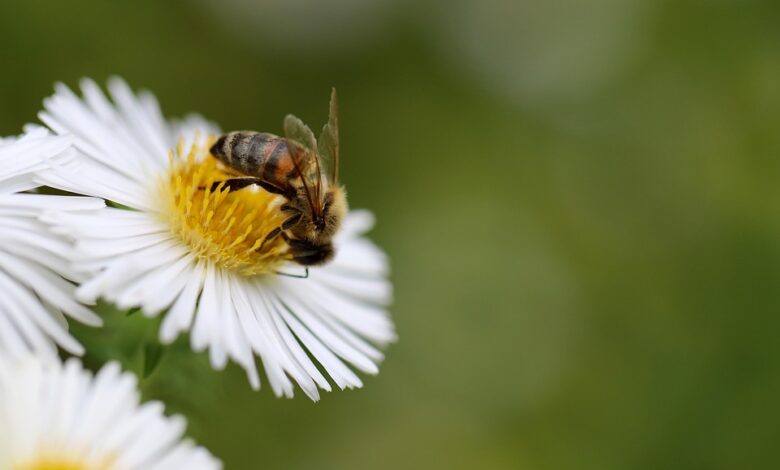 Aster Launches Stage 4 Airdrop and $10M Trading Competition to Accelerate Ecosystem Growth