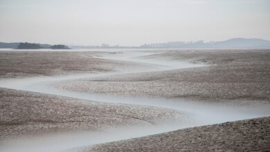 Bank of England Proposes Suite of New Stablecoin Rules, Including Temporary £20,000 Per-Coin Cap on Individual Holdings