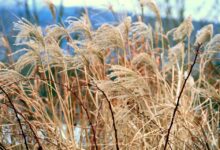 Stock Surges As Billionaire Stanley Druckenmiller Buys $76,989,000 Stake In Consumer Lending Platform