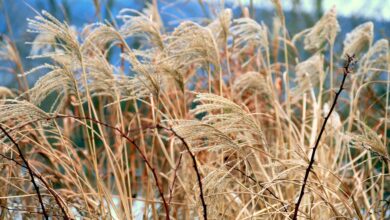 Stock Surges As Billionaire Stanley Druckenmiller Buys $76,989,000 Stake In Consumer Lending Platform