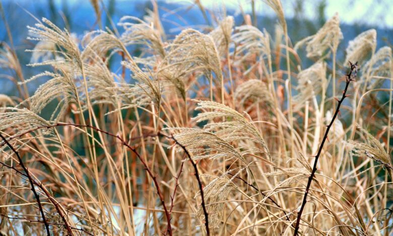 Stock Surges As Billionaire Stanley Druckenmiller Buys $76,989,000 Stake In Consumer Lending Platform