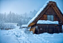 Analyst Who Nailed 2021 Bitcoin Top Details ‘Best Guess’ on Where BTC Price Is Heading After Successfully Shorting Ethereum