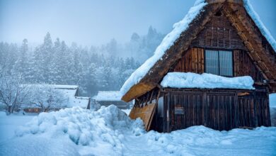 Analyst Who Nailed 2021 Bitcoin Top Details ‘Best Guess’ on Where BTC Price Is Heading After Successfully Shorting Ethereum