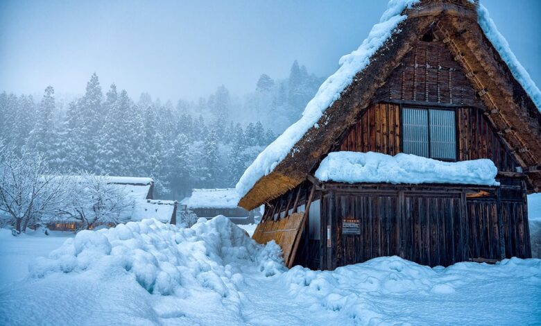 Analyst Who Nailed 2021 Bitcoin Top Details ‘Best Guess’ on Where BTC Price Is Heading After Successfully Shorting Ethereum