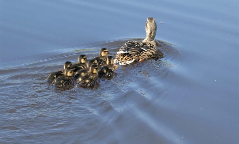 Bitwise CEO Declares Bitcoin’s Four Year Cycle Dead – Issues Major BTC Prediction for 2026