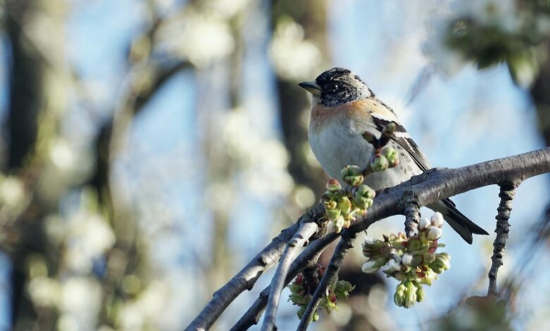 BlackRock CEO Larry Fink Says Crypto and Gold Are ‘Assets of Fear’ – Here’s What He Means
