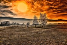 Asset Markets Will be ‘Short of Cash’ in 2026, Warns Liquidity Guru Michael Howell – Here’s His Outlook