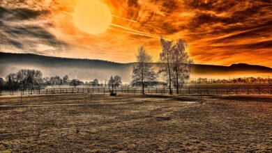 Asset Markets Will be ‘Short of Cash’ in 2026, Warns Liquidity Guru Michael Howell – Here’s His Outlook