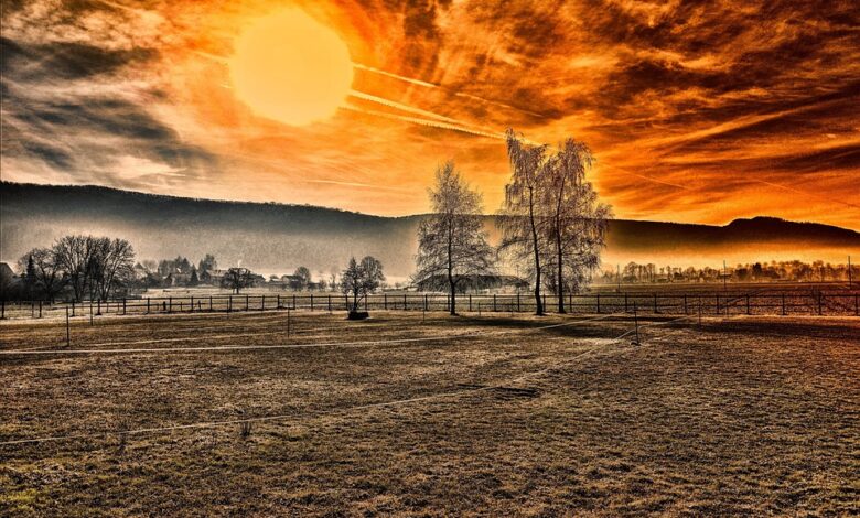 Asset Markets Will be ‘Short of Cash’ in 2026, Warns Liquidity Guru Michael Howell – Here’s His Outlook