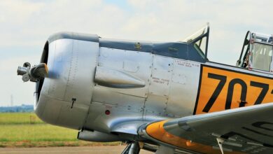 Harvard Pours $443,000,000 Into Bitcoin As SEC Filing Reveals Massive BlackRock IBIT Purchase